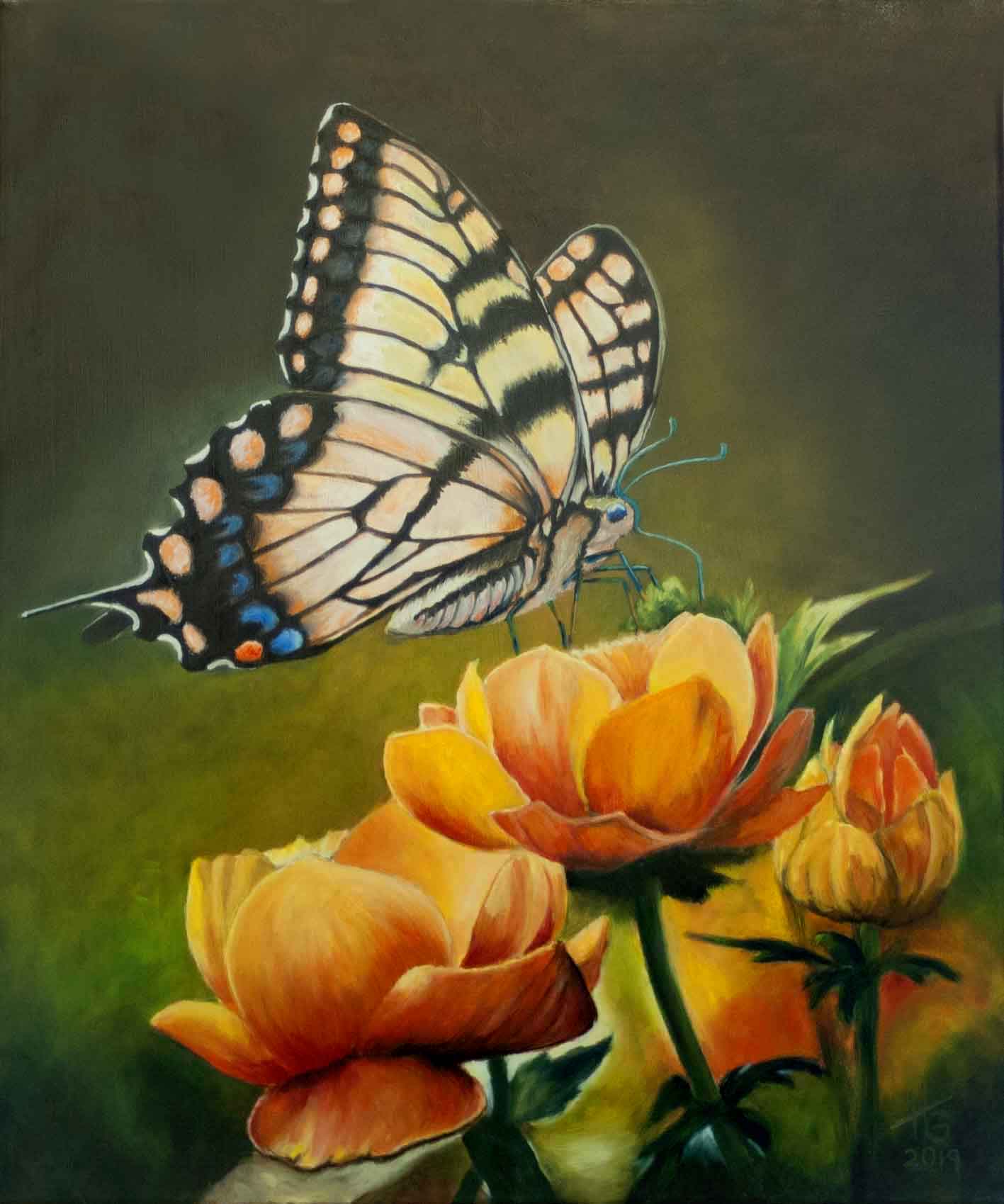 Schmetterling