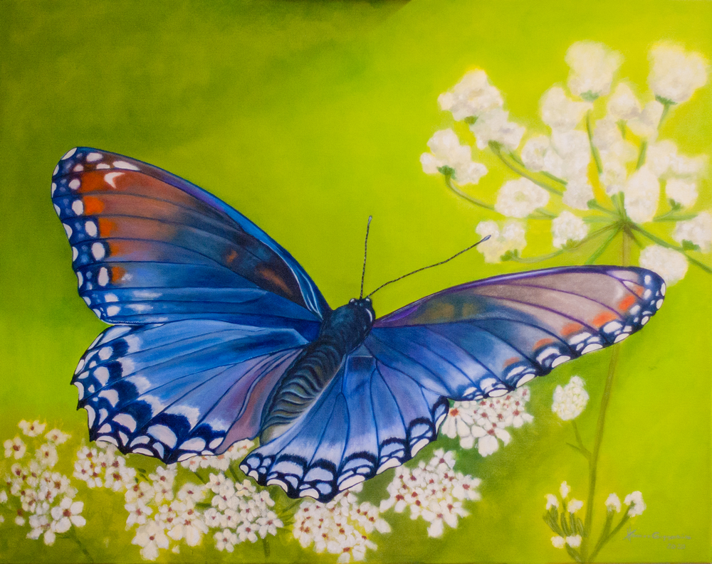 Schmetterling blau