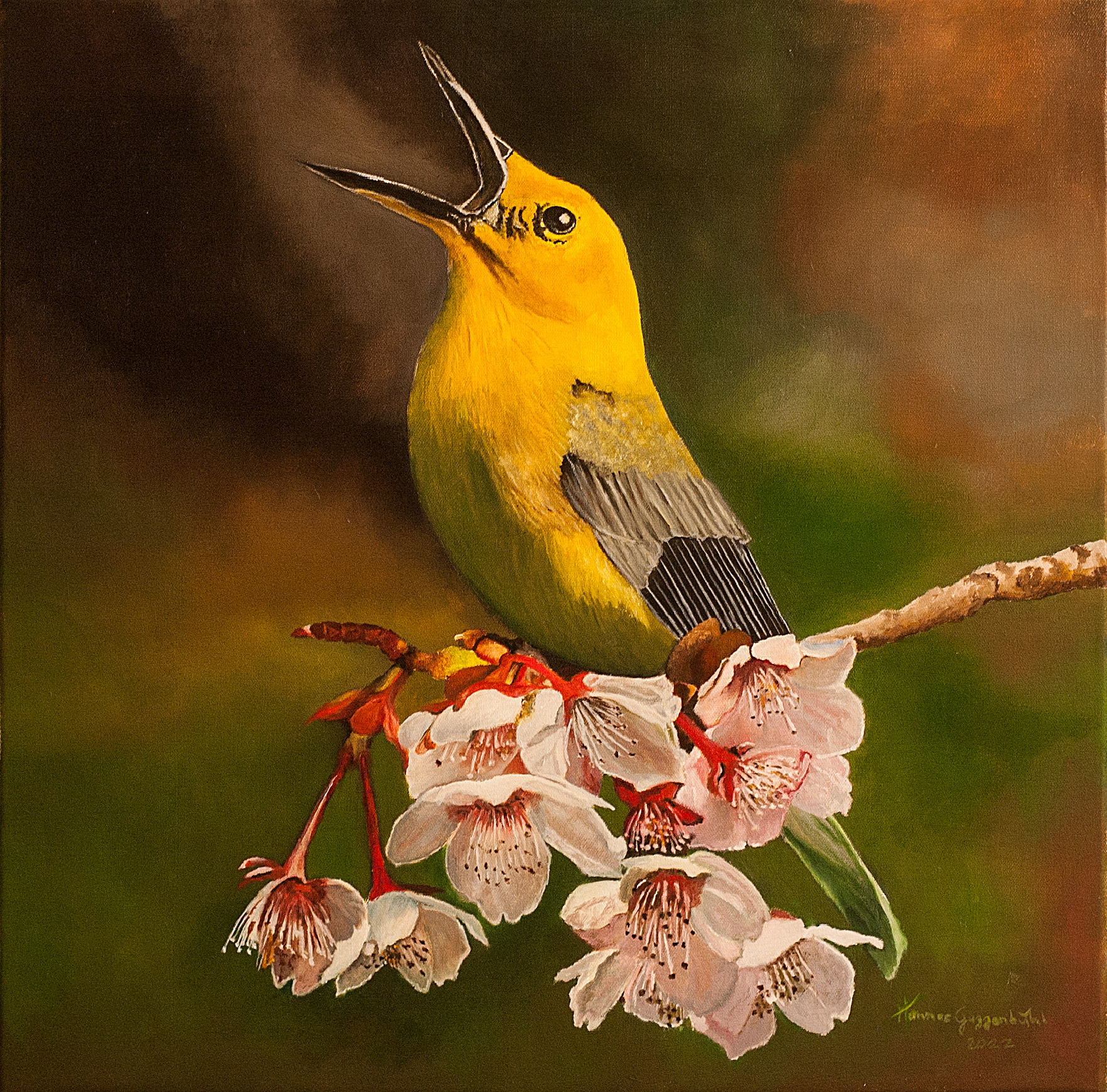 Vogel und Kirschblüte