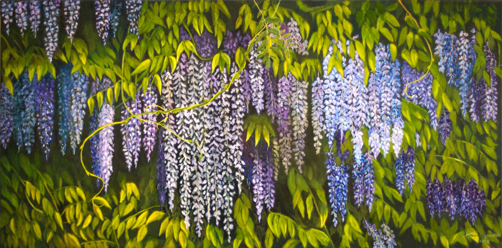 Wisteria